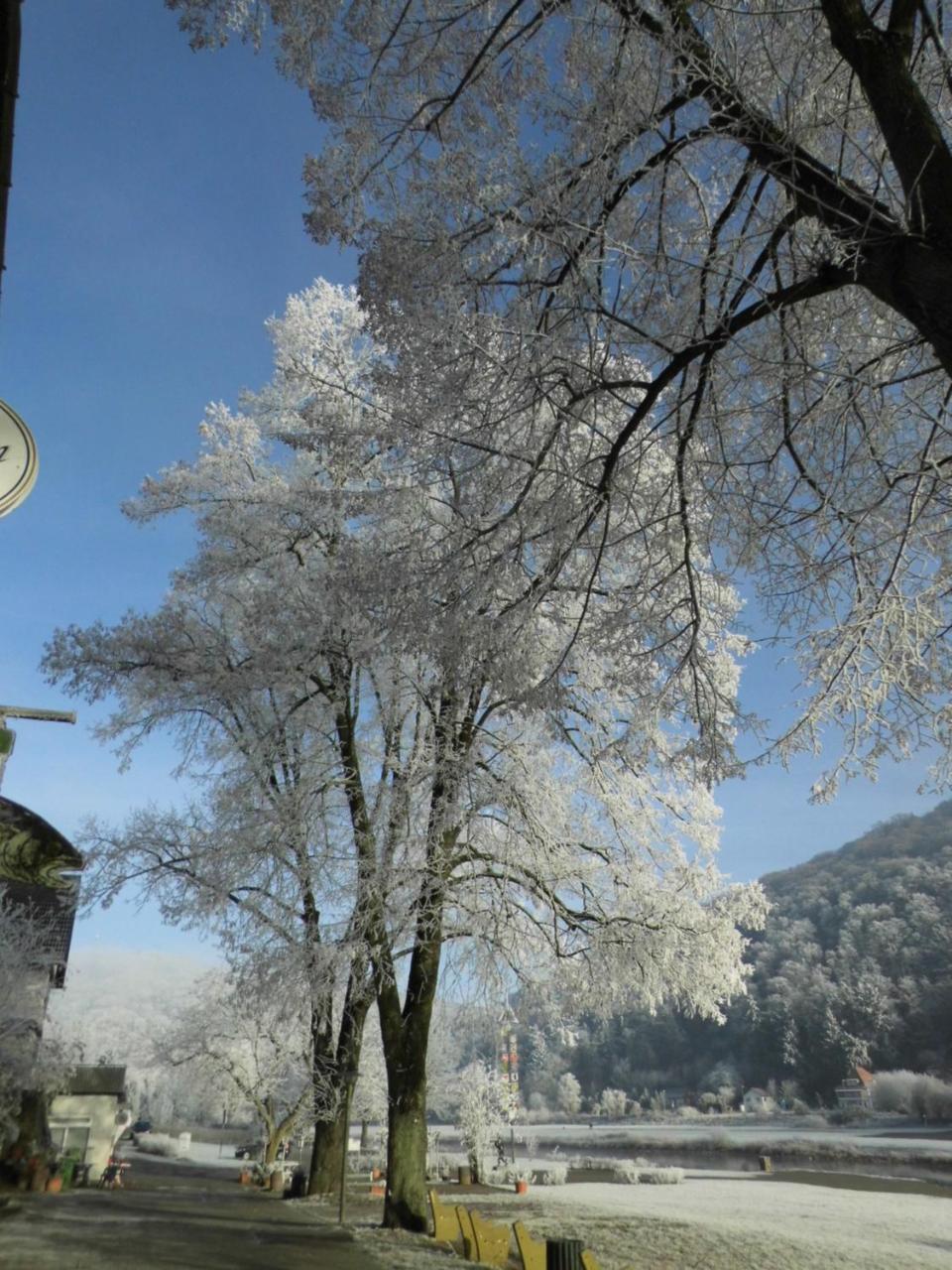 Hotel Weserstuben Bodenwerder Εξωτερικό φωτογραφία